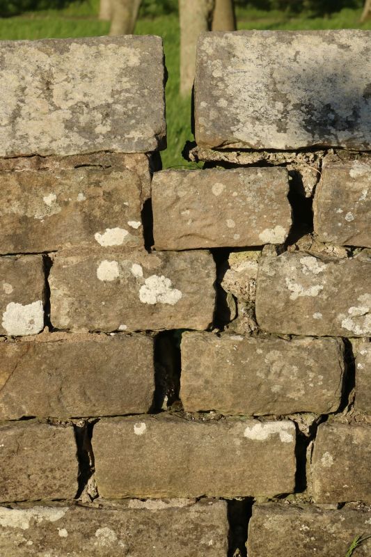Stone Wall Repair in La Habra, CA